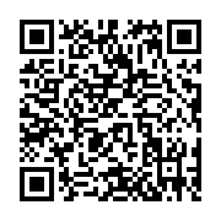 QR code for X010S