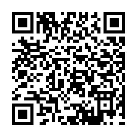 QR code for X013S