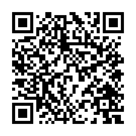 QR code for X015T