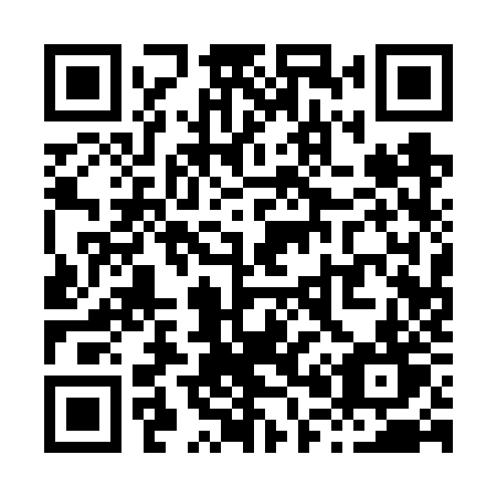 QR code for plate X01 6ZT