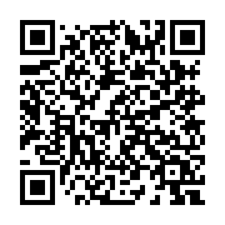 QR code for X038NT