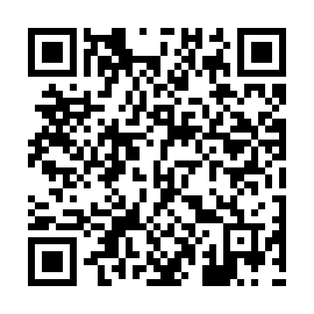 QR code for plate X04 2ZV