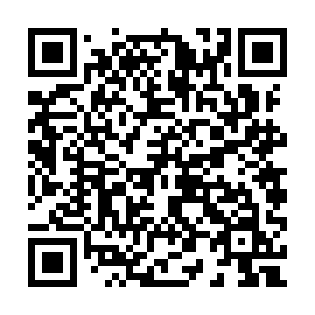 QR code for plate X06 9AN