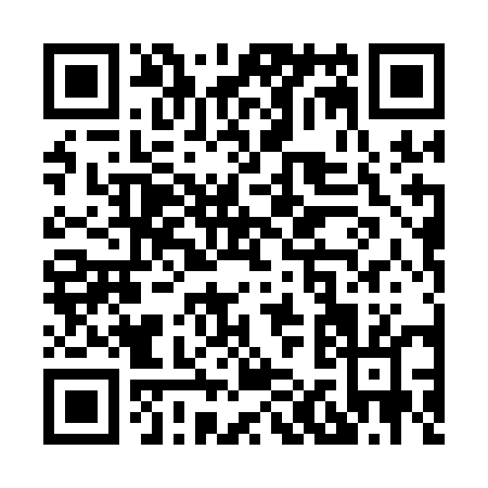QR code for X101E