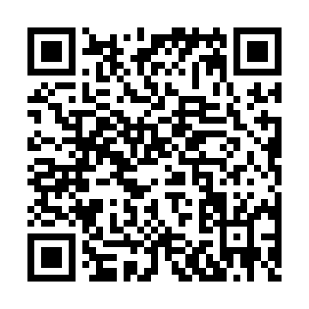 QR code for X101M