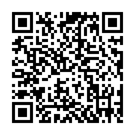 QR code for X118S