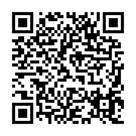 QR code for X119Q