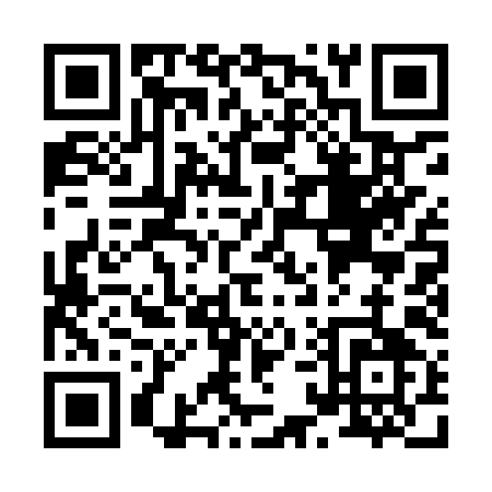 QR code for X119Y