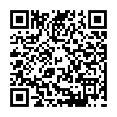 QR code for X133W