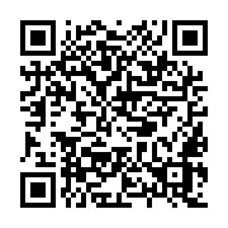 QR code for X161MZ