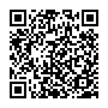 QR code for plate X17 0ER