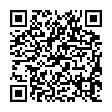 QR code for X173D