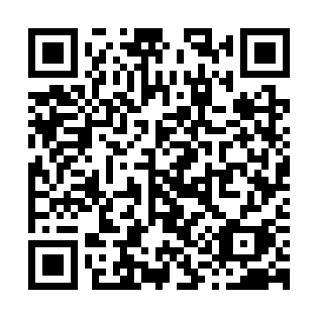 QR code for plate X17 3SI