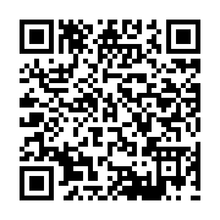 QR code for X199M