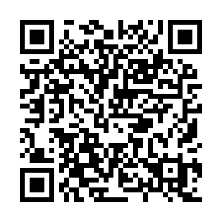 QR code for plate X19 9PI