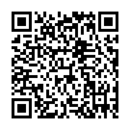 QR code for X201S