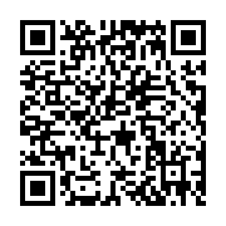 QR code for X201Z