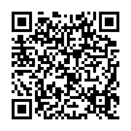 QR code for X213T