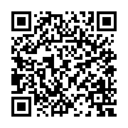 QR code for X216I