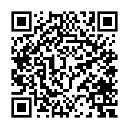 QR code for X217L
