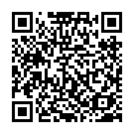 QR code for plate X22 2CH