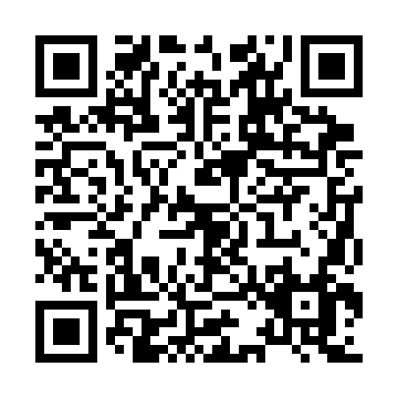 QR code for X223N