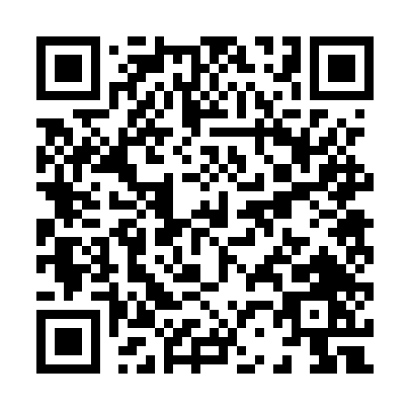 QR code for X225T