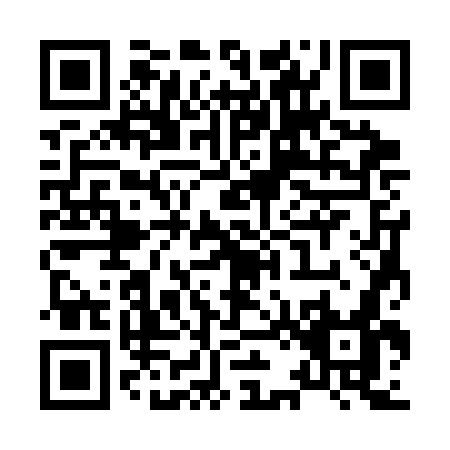 QR code for X233G
