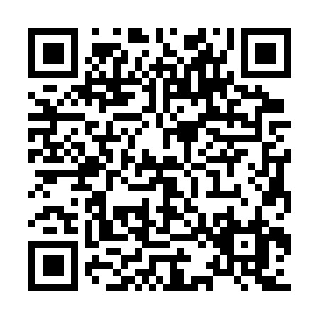 QR code for X233R