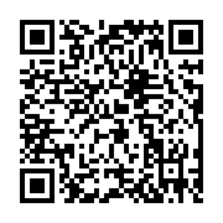 QR code for X238S