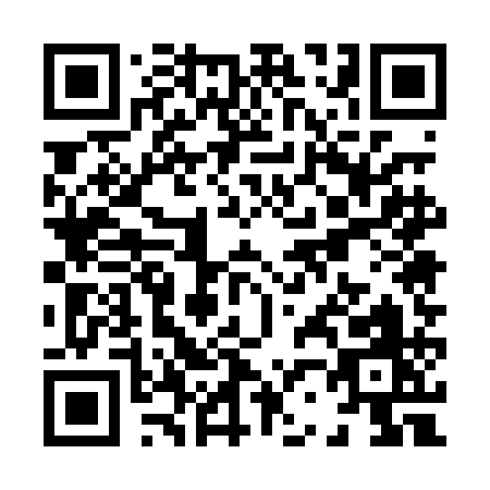 QR code for X250A