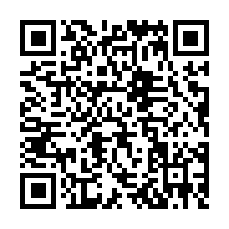 QR code for X251X
