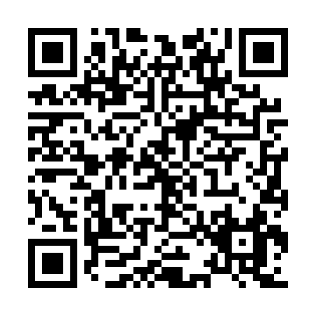 QR code for X265S