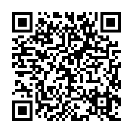 QR code for X265Z