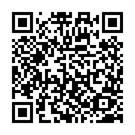 QR code for X29 0TZ