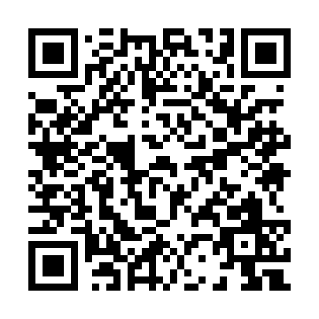 QR code for X290C