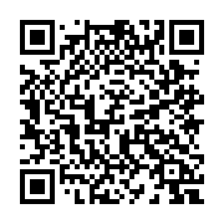 QR code for plate X29 0FB