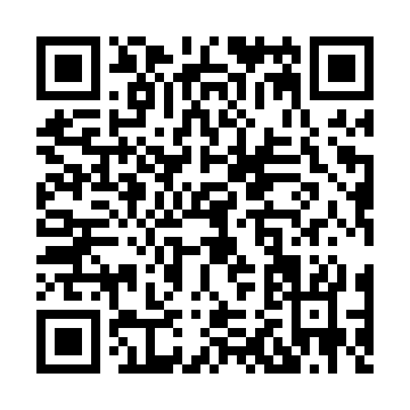 QR code for X290S