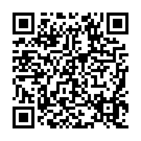 QR code for X290T