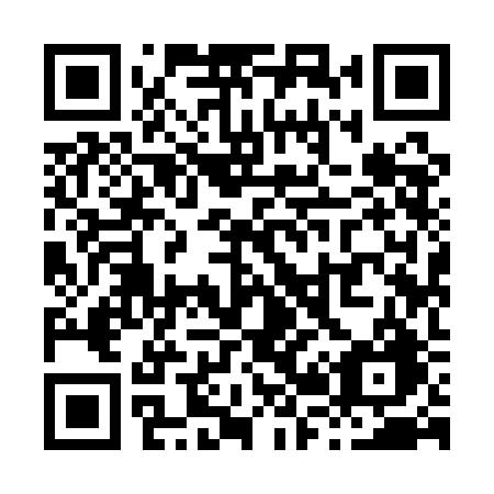 QR code for X291BG