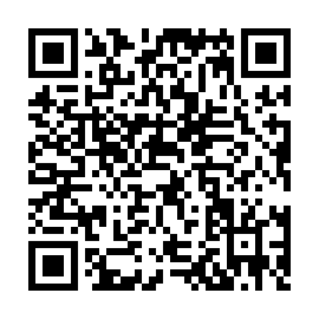 QR code for X291L