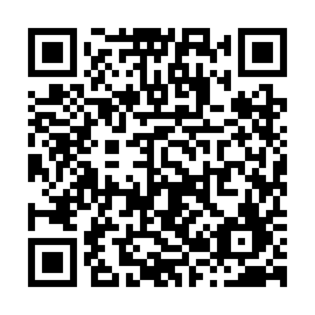 QR code for plate X29 3AF