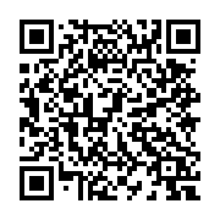 QR code for plate X29 4PR