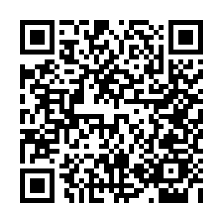 QR code for X295H