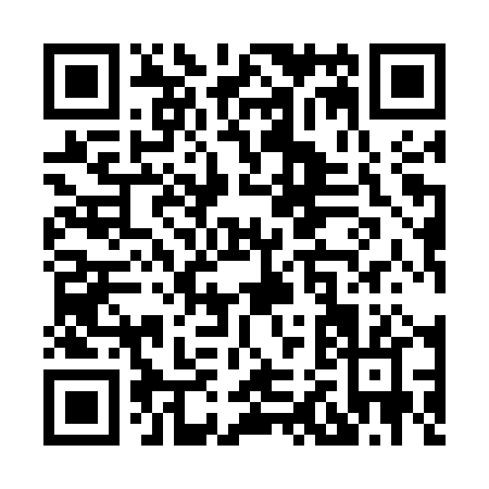 QR code for X295P