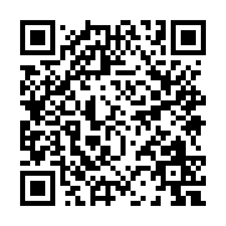 QR code for X295S