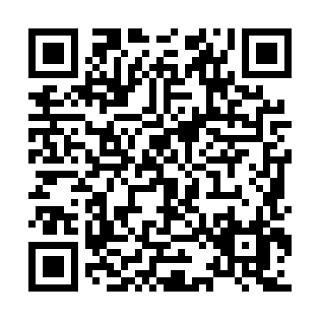 QR code for X295X
