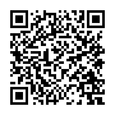QR code for X299R