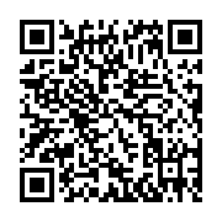 QR code for X300A