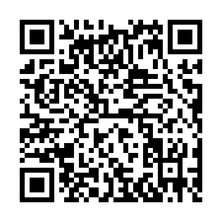 QR code for X301S